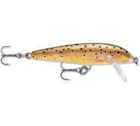 RAPALA Countdown Sumergible 9 CM TR