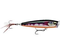 Rapala - Señuelo de Pesca Skitter Pop Elite, tamaño: 7,5 cm/10 g, Flotante para Agua Dulce y Salada, Profundidad de nado: Superficie, Aparejos de Pesca de balsa, Toman bañado en Oro GDTMN