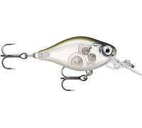 Rapala - Señuelo de Pesca X-Light Crank Mid Runner, tamaño: 3,5 cm/4 g, señuelo Flotante de Agua Dulce, Profundidad de nado: 1,8-2,1 m, construcción de plástico, Ghost Shiner GHSH