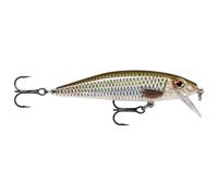 Rapala X-Rap CountDown - Señuelo deslizante para agua dulce, RA5818180, Live Roach, 5cm, 4g