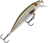 Rapala X-Rap CountDown - Señuelo deslizante para agua dulce, RA5818180, Live Roach, 5cm, 4g