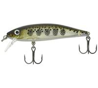 RAPALA X Rap Countdown-Material Cuerpo de Balsa-Señuelo Pesca de Agua Dulce, Unisex-Adult, 50 mm (4.0 gr)