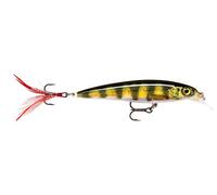 Rapala - Señuelo de Pesca X-Rap, tamaño: 8 cm/7 g, señuelo suspendido para Agua Dulce y Salada, Profundidad de nado: 0,9-1,5 m, Aparejo de Pesca de plástico, lubina Viva Pel