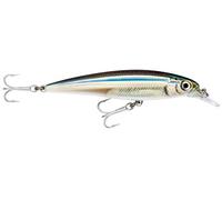 Rapala Señuelo X-Rap Saltwater-Material de Pesca para Grandes Peces Carnívoros, Unisex-Adult, Anchovy, 10cm/13g (RA5818212)
