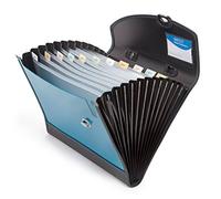 Rapesco 0682 Carpeta Archivadora Tipo Acordeón con 13 Compartimentos y Asa, A4+, Turquese