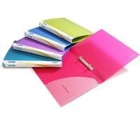 Rapesco 0799 Carpeta Archivador de 2 Anillas, Lomo de 25 mm, A4, Colores Surtidos, Paquete de 10