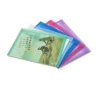 Rapesco 1041 ECO Carpetas Sobres Portafolios, A3, Colores Surtidos Transparentes, Paquete de 5