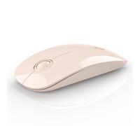 RAPIQUE Ratón inalámbrico Bluetooth (BT5.1+USB), Mouse Delgado de Modo Dual con Clic silencioso, Baja Potencia y 1600 dpi, Mouse inalámbrico portátil para MacBook, portátil, iPad Pro/Air