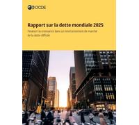 Rapport sur la dette mondiale 2025