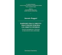 Rapporti tra il diritto dell'Unione Europea e il diritto interno. (Valori fondamentali e tecniche di risoluzione delle antinomie) (Ius Gentium ... studi comunitari e di testimonianze europee)