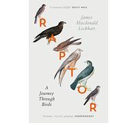 Raptor: A Journey Through Birds [Idioma Inglés]