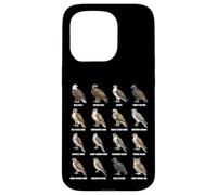 Raptors of North America Cuadro de Especies de Aves Rapaces Carcasa para iPhone 15 Pro