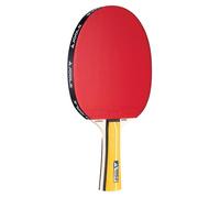 Raqueta de tenis de mesa JOOLA Master TT raqueta completa
