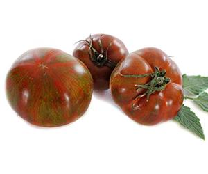 Rareza - Negros Crimea Tomate - Noire de Crimée - 20 Semillas