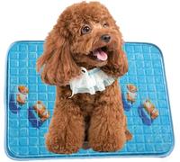 RARIRO Alfombrilla de refrigeración para gato y perro 40 × 55 cm S | Nuevo 2026 | Autorefrigerante, lavable (por favor, compruebe cuidadosamente si el tamaño es adecuado para su mascota)