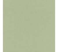 Rasch 423938 Poetry - Papel pintado (universal, 10,05 m x 0,53 m), color verde