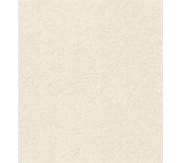 Rasch A.S. Création 520231 Concrete - Papel pintado no tejido (10,05 x 0,53 m), color crema y plateado