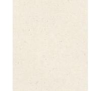 Rasch A.S. Création 520828 Concrete - Papel pintado (fieltro, 10,05 x 0,53 m), color blanco crema