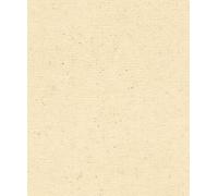 Rasch A.S. Création 520842 Concrete - Papel pintado (fieltro, 10,05 x 0,53 m), color beige