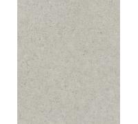 Rasch A.S. Création 520859 Concrete - Papel pintado (fieltro, 10,05 x 0,53 m), color gris claro