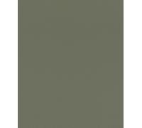 Rasch African Queen 752687 - Papel pintado (10,05 x 0,53 m), color verde