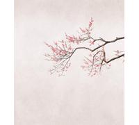 Rasch Magicwalls 361087 - Papel pintado fotográfico sobre fieltro con ramas de cerezo con flores en rosa y marrón de la colección Magicwalls, 3,00 m x 2,65 m (largo x ancho)