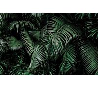 Rasch Magicwalls 363067 - Papel pintado fotográfico sobre fieltro con hojas de palma en verde y negro de la colección Magicwalls - 3,00 m x 4,77 m (largo x ancho)