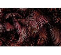 Rasch Magicwalls 363081 - Papel pintado fotográfico sobre fieltro con hojas de palma en color rosa y negro de la colección Magicwalls - 3,00 m x 4,77 m (largo x ancho)