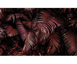 Rasch Magicwalls 363128 - Papel pintado fotográfico sobre fieltro con hojas de palma en color rosa y negro de la colección Magicwalls - 2,65 m x 4,24 m (largo x ancho)