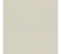 Rasch Papel pintado 441642 - Papel pintado no tejido con estructura fina en gris claro, papel pintado con purpurina, monocolor, estructurado, 10,05 m x 0,53 m (largo x ancho)