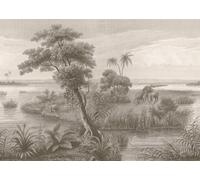 Rasch Papel pintado 556162 - Papel pintado fotográfico sobre fieltro con lago con pequeñas islas, plantas y elefantes en color marrón de la colección Lirico - 2,65 m x 3,71 m (largo x ancho)