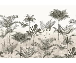 Rasch Papel pintado 556193 - Papel pintado fotográfico sobre fieltro con palmeras en beige, crema y gris de la colección Lirico - 3,00 m x 4,24 m (largo x ancho)