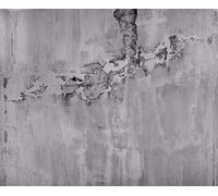 Rasch Papel pintado fotográfico 439908 de fieltro con aspecto de hormigón en moderno aspecto industrial, color gris - 2,60 m x 3,18 m (largo x ancho)