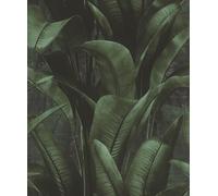 Rasch Papel pintado no tejido de la selva 'Back To Nature' - Papel pintado de vinilo con hojas en verde para un ambiente exótico - Resistente y lavable - 10,05 m x 0,53 m