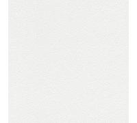 Rasch WTD 128000 - Papel pintado (10,05 m x 0,53 m (largo x ancho)