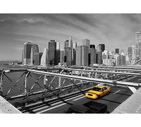 Rasch WTD 893052 - Papel pintado fotográfico (fieltro, 2,65 x 3,71 m, diseño de horizonte de Nueva York, color blanco y negro