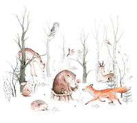 Rasch WTD - Papel pintado fotográfico para habitación infantil (2,8 m x 1,59 m), diseño de animales del bosque, color marrón y verde