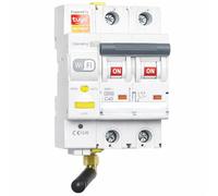 RASMACOR - Interruptor Magnetotermico Rearmable WIFI 2P Curva C 6kA - Compatible con App Tuya Smart - Domotica - Termico Inteligente con Control Remoto (2P 10A)