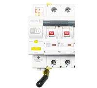 RASMACOR - Interruptor Magnetotermico WiFi - Rearmable 2P 40A Curva C 6kA - Termico Inteligente con Control Remoto - Compatible con App Tuya Smart - Domotica - 2 Polos 40A
