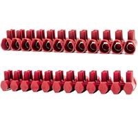 RASMACOR | Pack 2 Regleta conexion 10mm² para Cables con Cubierta Protectora | Terminal de conexión | Empalme Cable electrico | Tekox Pro 10mm² | Nuevo Formato 12 Polos