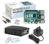 Raspberry Pi 4 8GB Starter Kit | 64GB Negro Edition | Fuente Oficial 15W | Caja Oficial Negro | Cable Micro HDMI 4K | Set Disipador de Calor