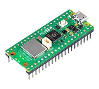 Raspberry Pi Pico 2WH