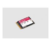 Raspberry Pi SC1439 256GB SSD