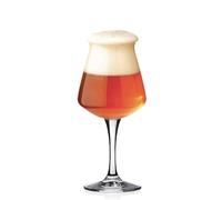 Rastal - paquete de 6 vasos Universal Beer Tasting modelo TEKU 3.0 - 42 cl. (14,8 oz.)