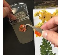 RASTKY 20 Marcapáginas de Flores Secas Transparentes, Exquisitas Pegatinas Florales para Hacer Marcapáginas de Bricolaje, Ideal para Entusiastas de la Naturaleza y Vínculos Familiares (tipo-3)