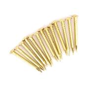 RASTKY Bisagras de Clavos Redondos de Latón, 100 Uds., Accesorios de Hardware de Bisagra de Muebles de Latón con Clavos Redondos, Tachuelas de Escudo de de 10mm/15mm/18mm/22mm (18 mm de largo)