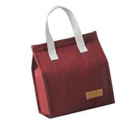 RASTKY Bolsa de Almuerzo Aislada de Gran Capacidad para Mujeres y Hombres - Bolso Térmico para Alimentos Diseñado para el Trabajo, la Oficina, el Picnic y los Viajes - Fiambrera Elegante Práctica