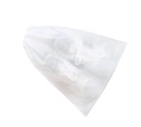 RASTKY Bolsas de Zapatos Transparentes Bolsa de Almacenamiento de Zapatos de Viaje Transparentes No Tejidos y Transpirables Bolsa Protectora con Cordón de Almacenamiento de de Viaje con Cordón (S)