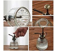 RASTKY Botella Pulverizadora de Cristal para Plantas, Diseño Antiguo Retro, Bomba de Pequeña Capacidad, Riego para Limpieza de Jardines, Oficinas y Interiores (Purple)