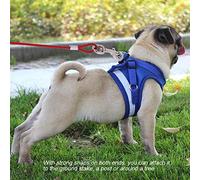 RASTKY Cable de Amarre para Perros de Acero Inoxidable - Correa de Alambre de Acero para Perros Picnic para Acampar Cuerda de Cable Fuerte para Mascotas 5 Mm * 5 M - Correa Doble para Medianos y